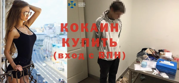 дживик Нея